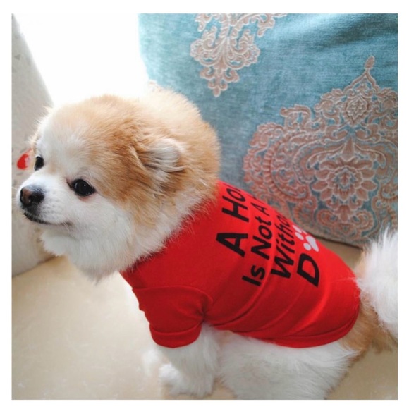 Cotton Vest for small Puppy or cat. Size Small - Picture 5 of 5